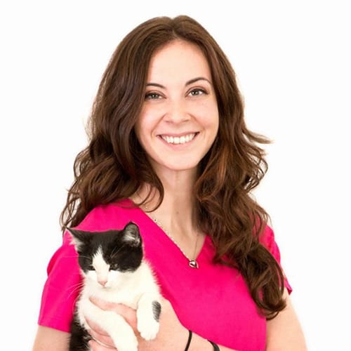 Dr. Megan Coady, Charlotte Veterinarian